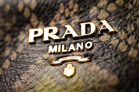 where is prada|where did prada go.